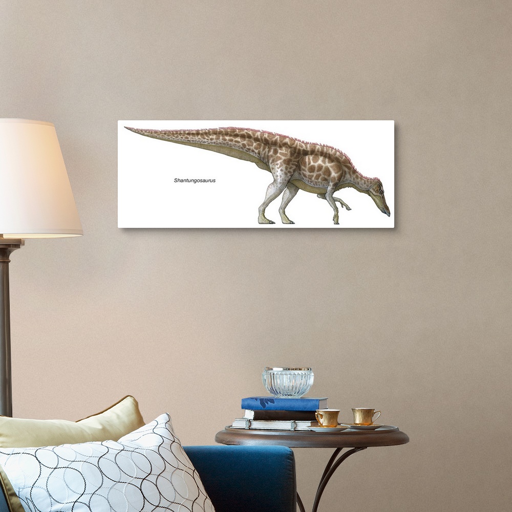 A traditional room featuring An illustration from Encyclopaedia Britannica of the dinosaur Shantungosaurus.