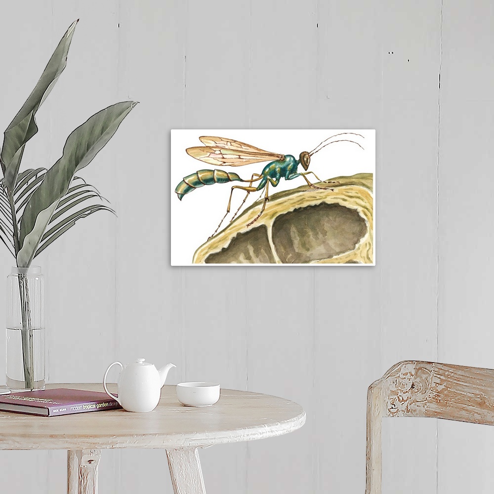 A farmhouse room featuring Tenant Wasp