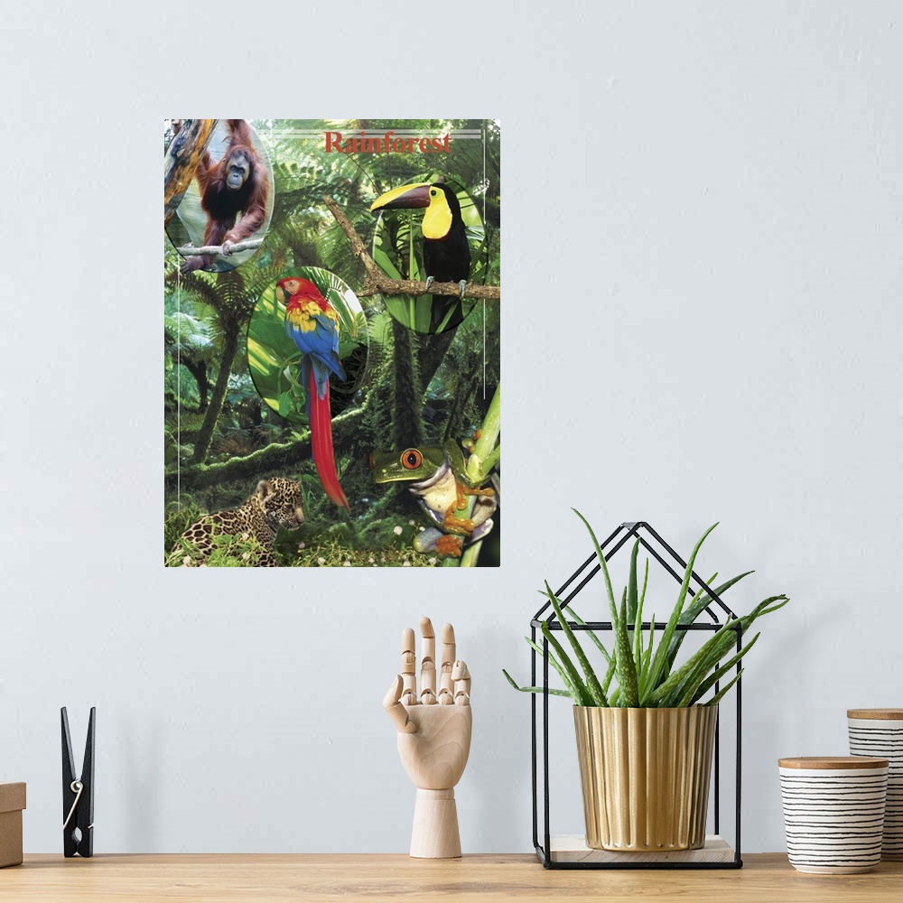A bohemian room featuring The Rainforest