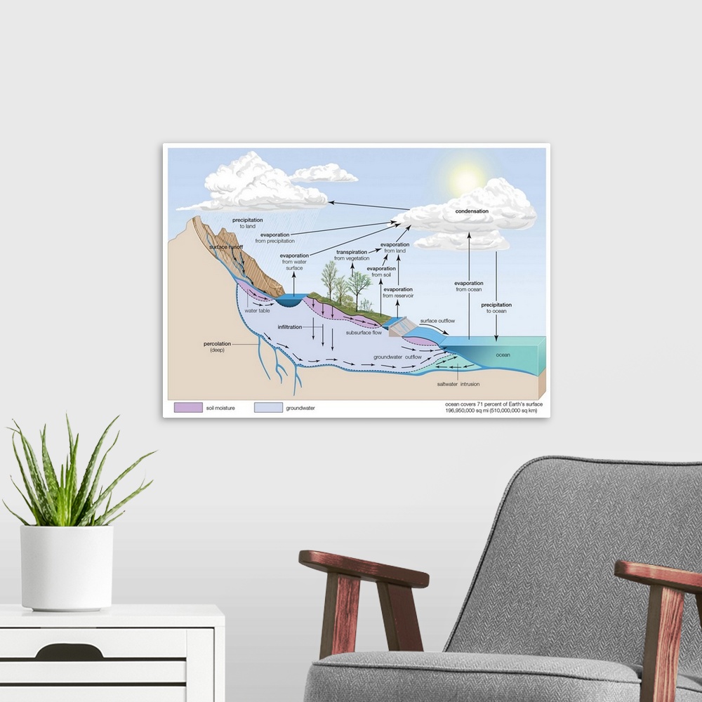 A modern room featuring The Water Cycle