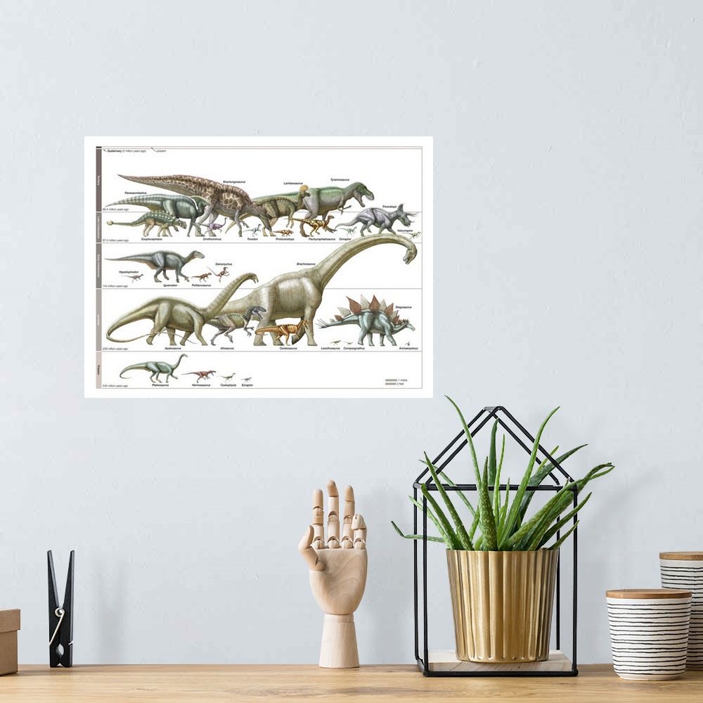 A bohemian room featuring An educational poster from Encyclopaedia Britannica of a timeline of dinosaurs.