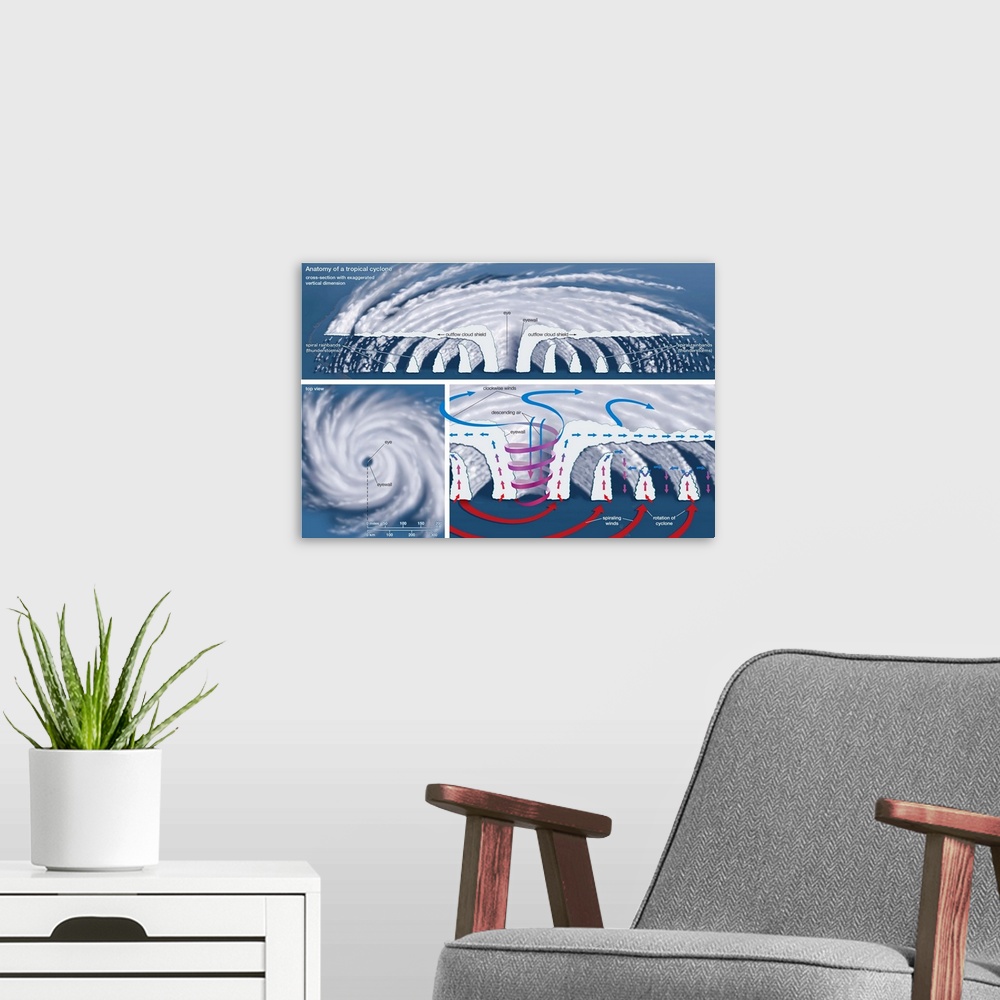 A modern room featuring Educational illustration of a Tropical Cyclone.