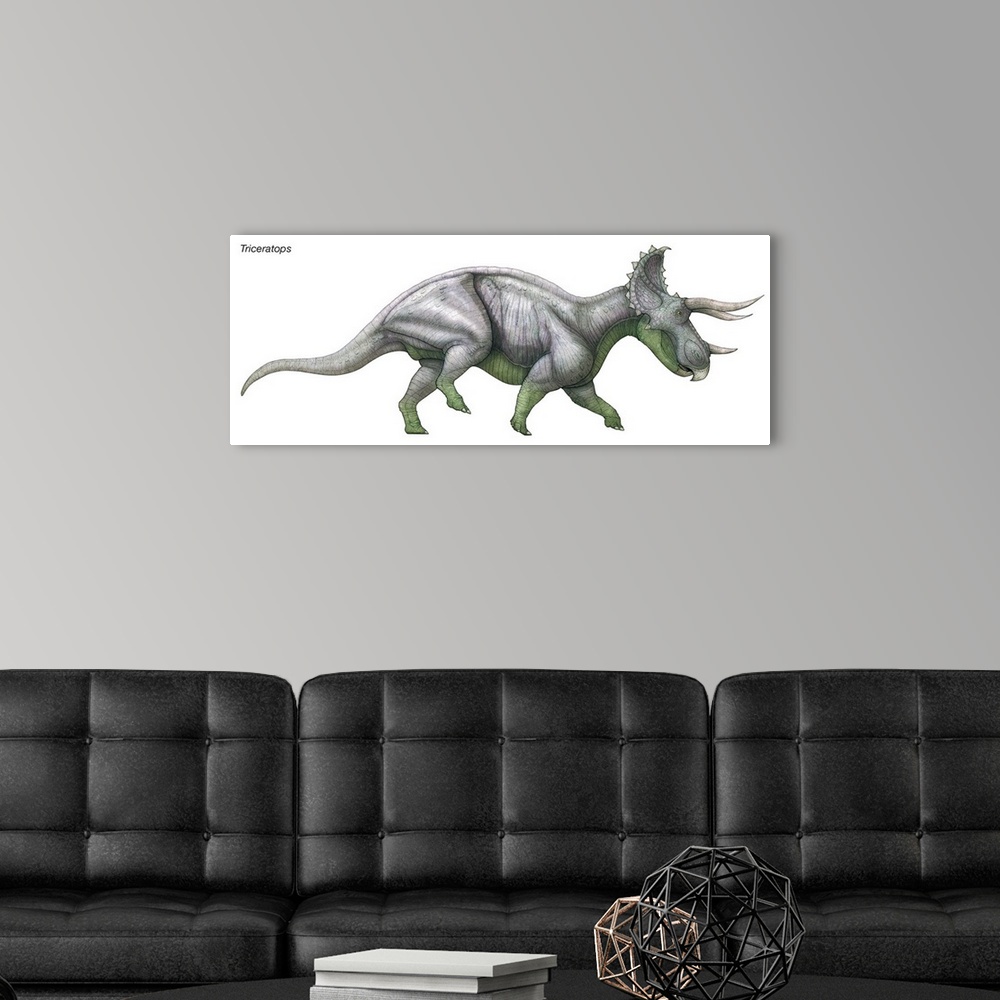 A modern room featuring An illustration from Encyclopaedia Britannica of the dinosaur Triceratops.