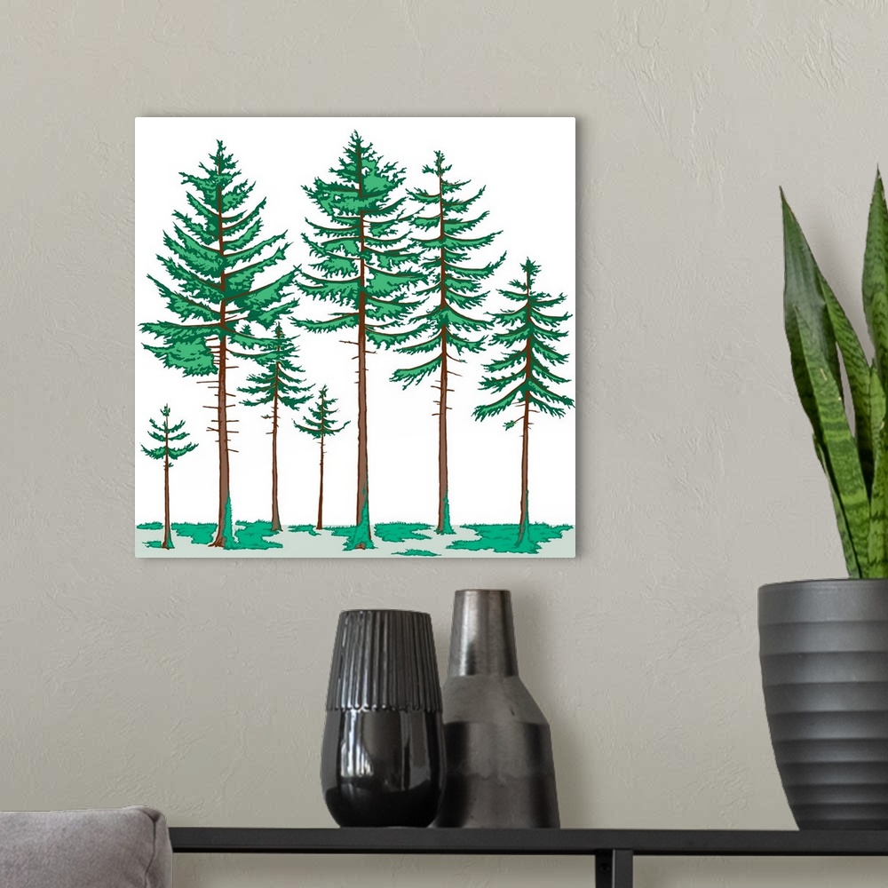 A modern room featuring Vegetation Profile Of A Boreal Forest