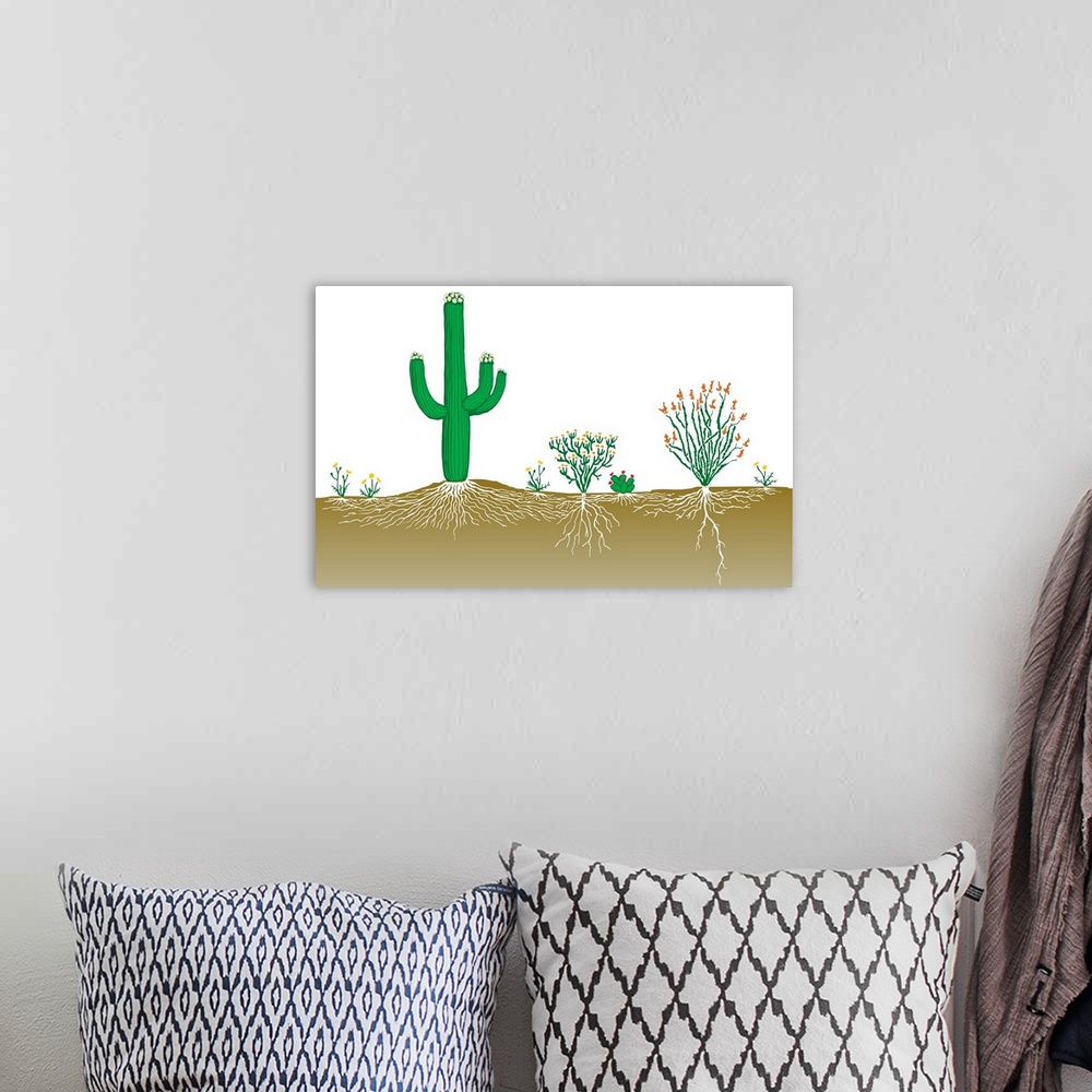 A bohemian room featuring Vegetation Profile Of A Desert