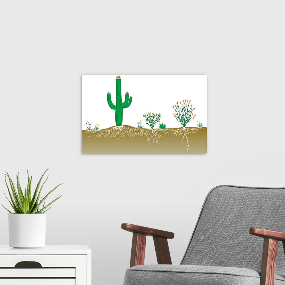 A modern room featuring Vegetation Profile Of A Desert