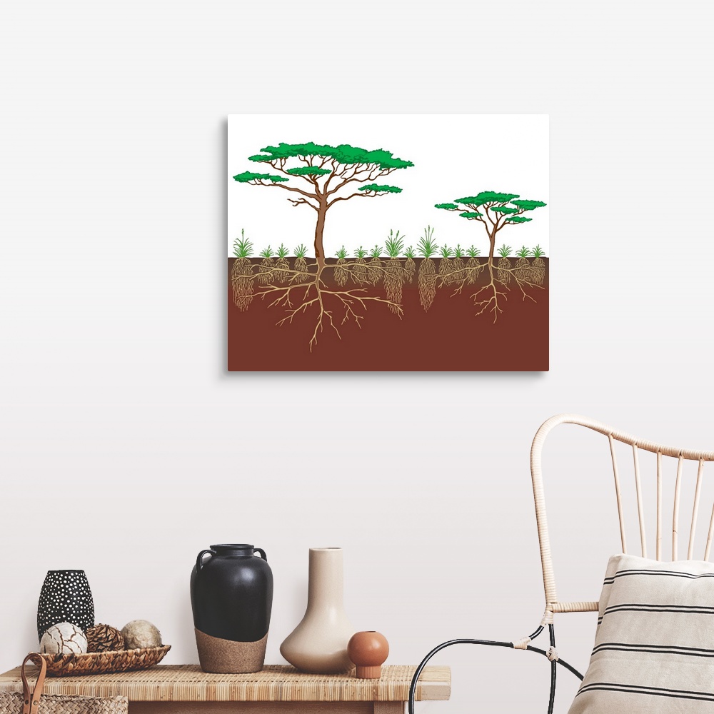A farmhouse room featuring Vegetation Profile Of A Savanna