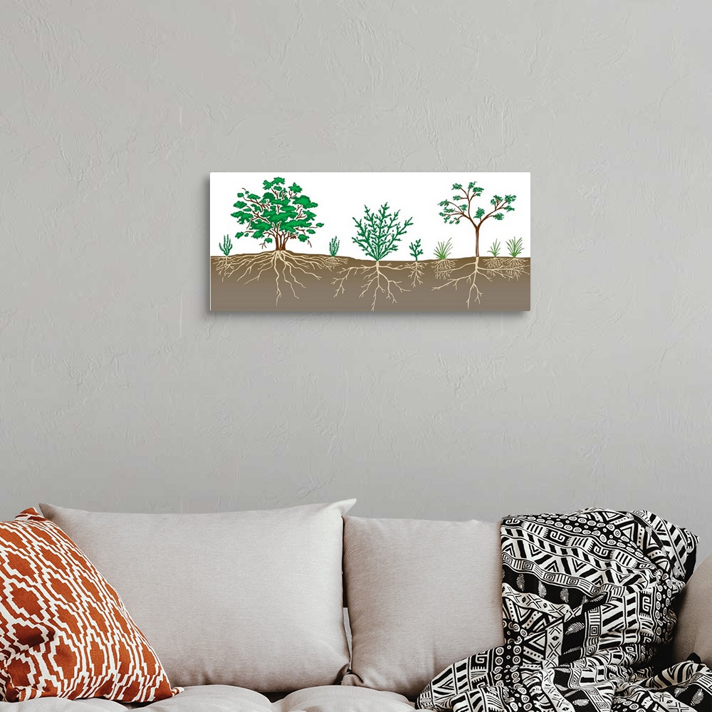 A bohemian room featuring Vegetation Profile Of A Scrubland