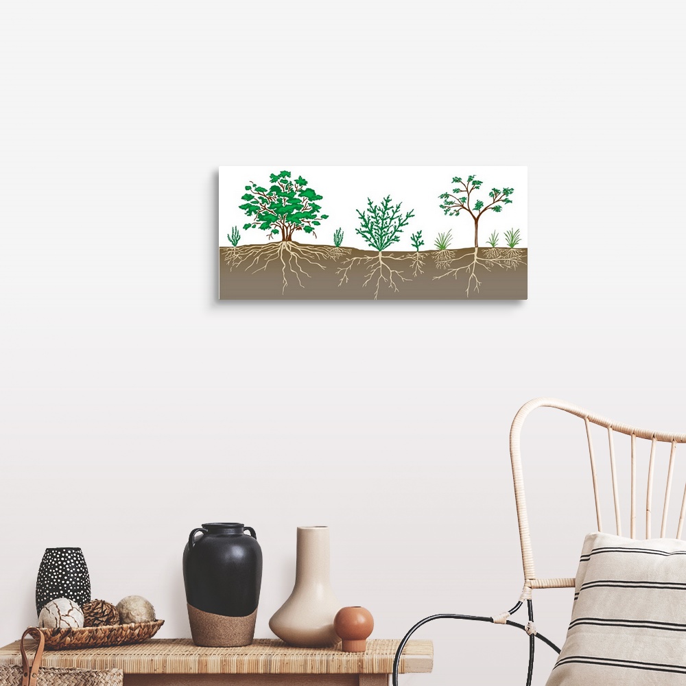 A farmhouse room featuring Vegetation Profile Of A Scrubland