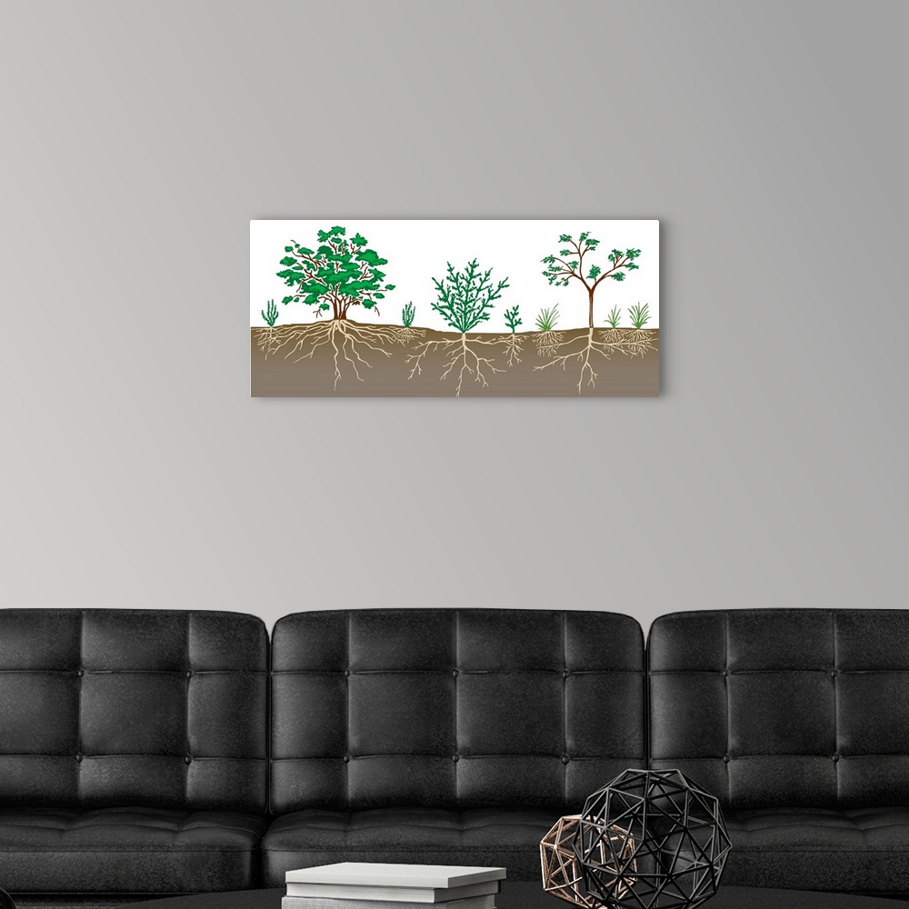 A modern room featuring Vegetation Profile Of A Scrubland