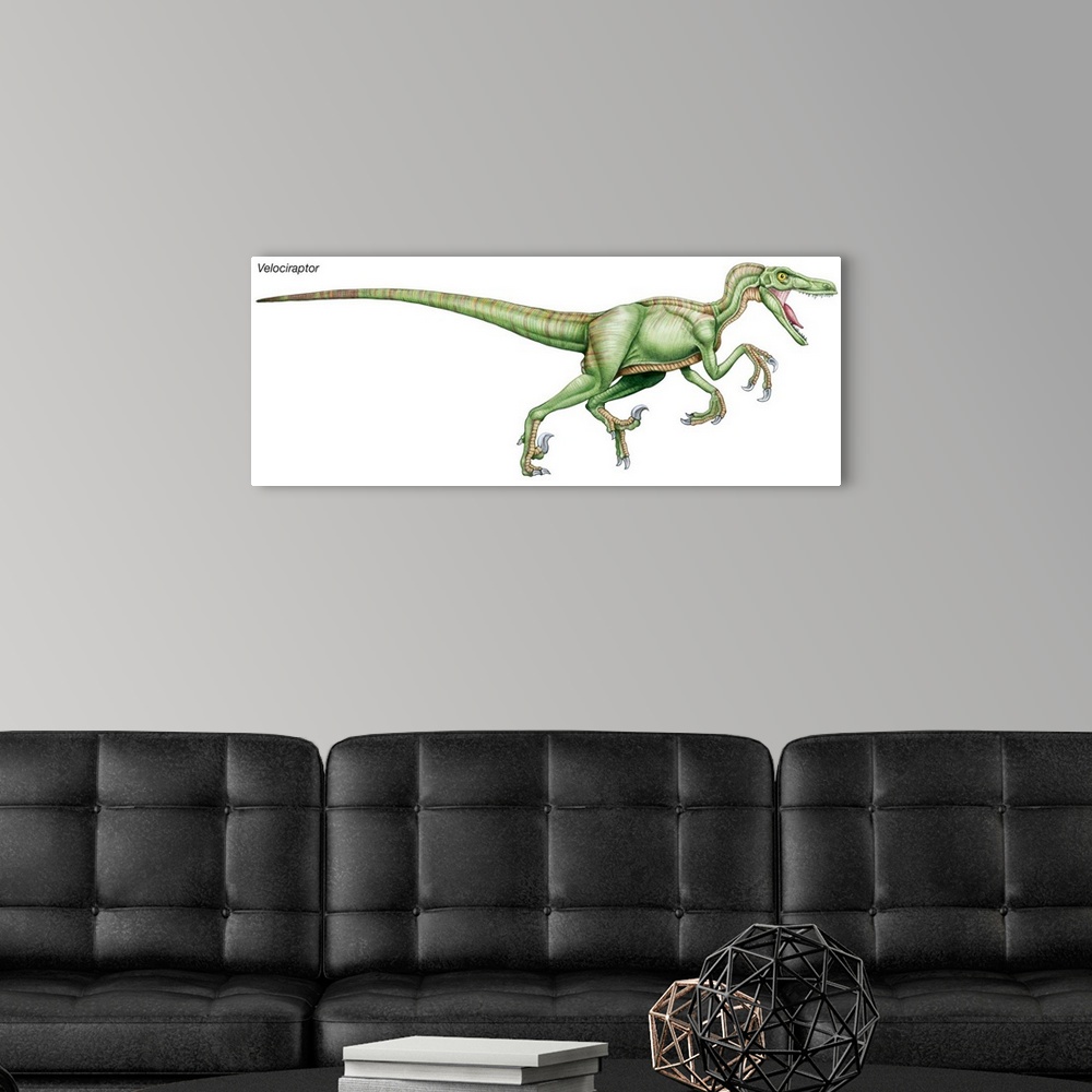 A modern room featuring An illustration from Encyclopaedia Britannica of the dinosaur Velociraptor.