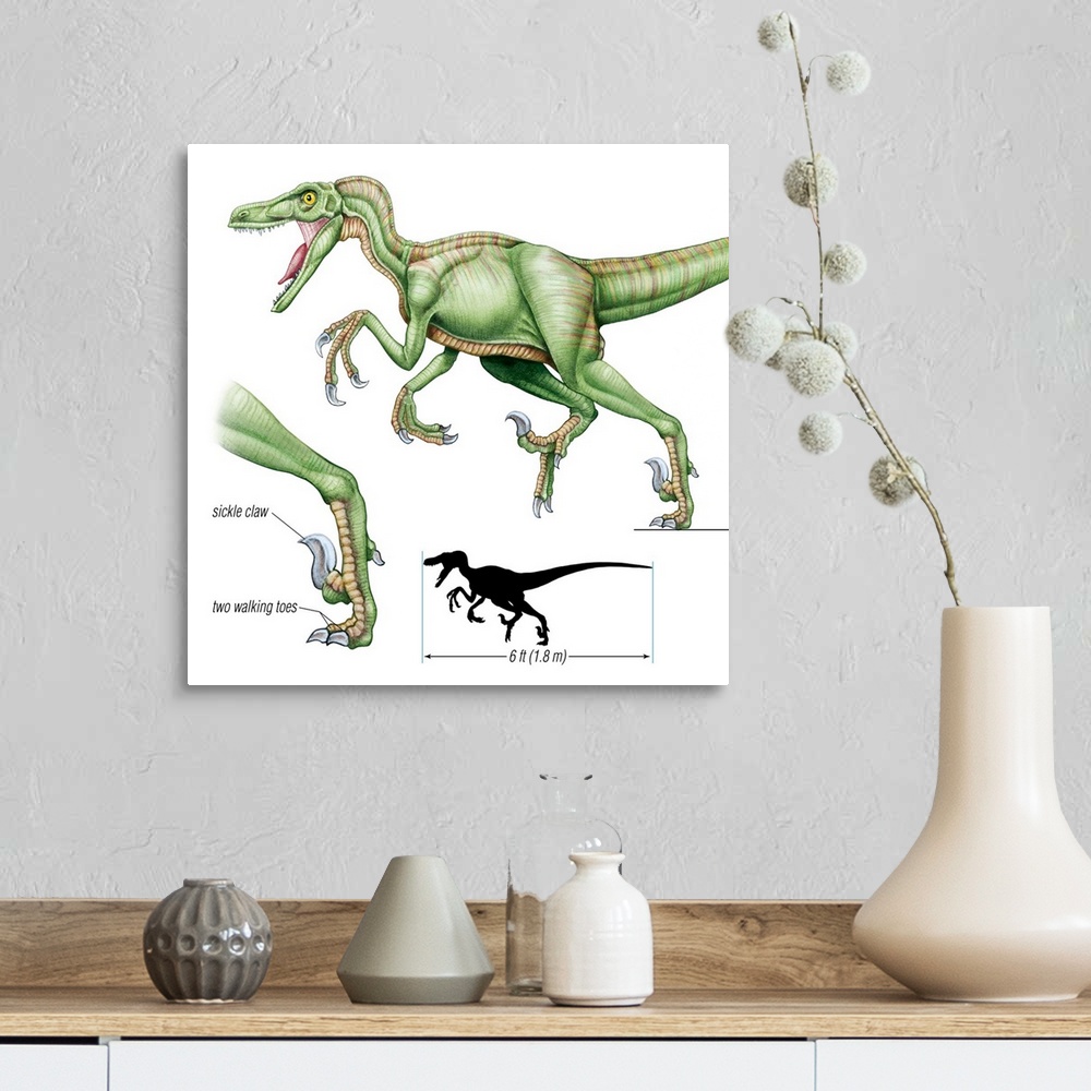 A farmhouse room featuring An illustration from Encyclopaedia Britannica of the dinosaur Velociraptor and its claws.