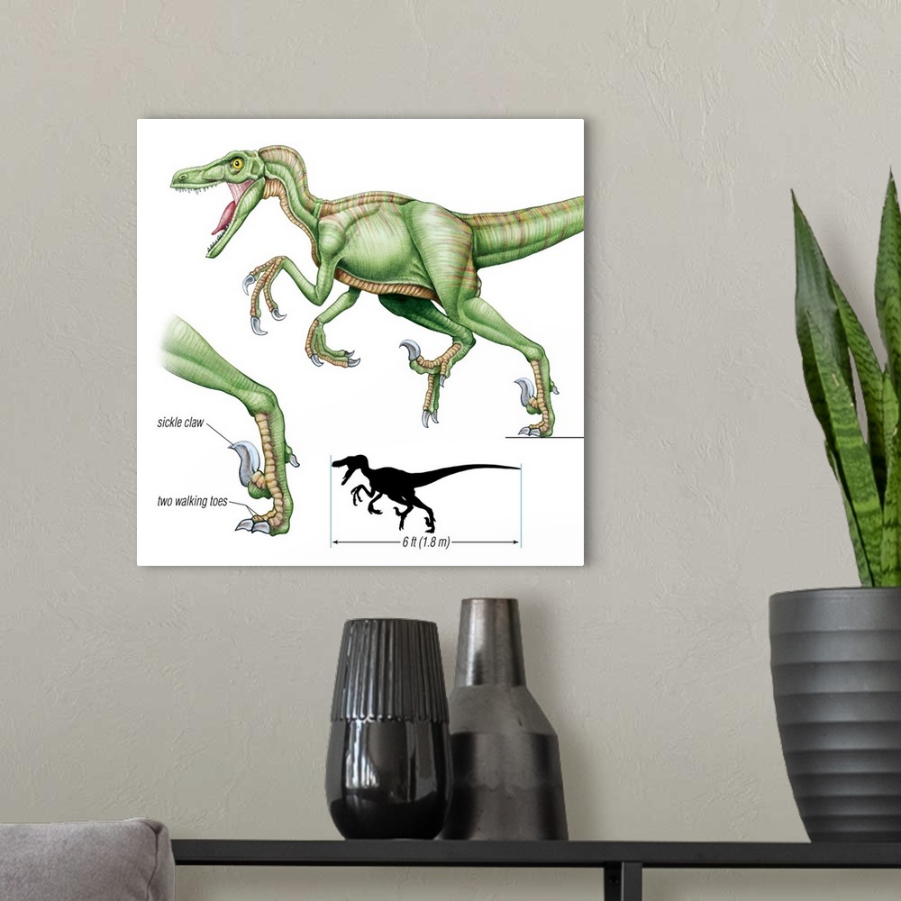 A modern room featuring An illustration from Encyclopaedia Britannica of the dinosaur Velociraptor and its claws.