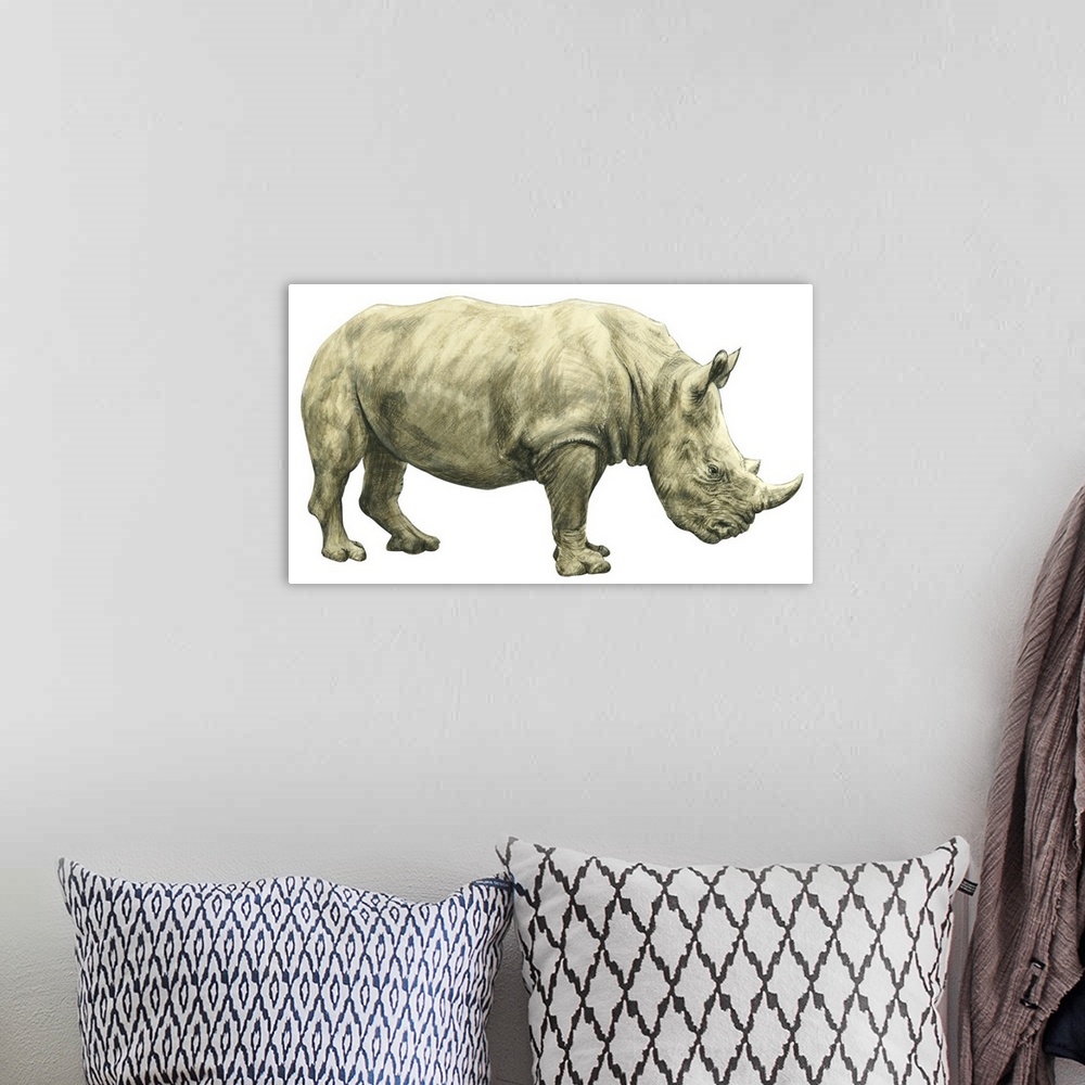 A bohemian room featuring White Rhinoceros (Ceratotherium Simus)