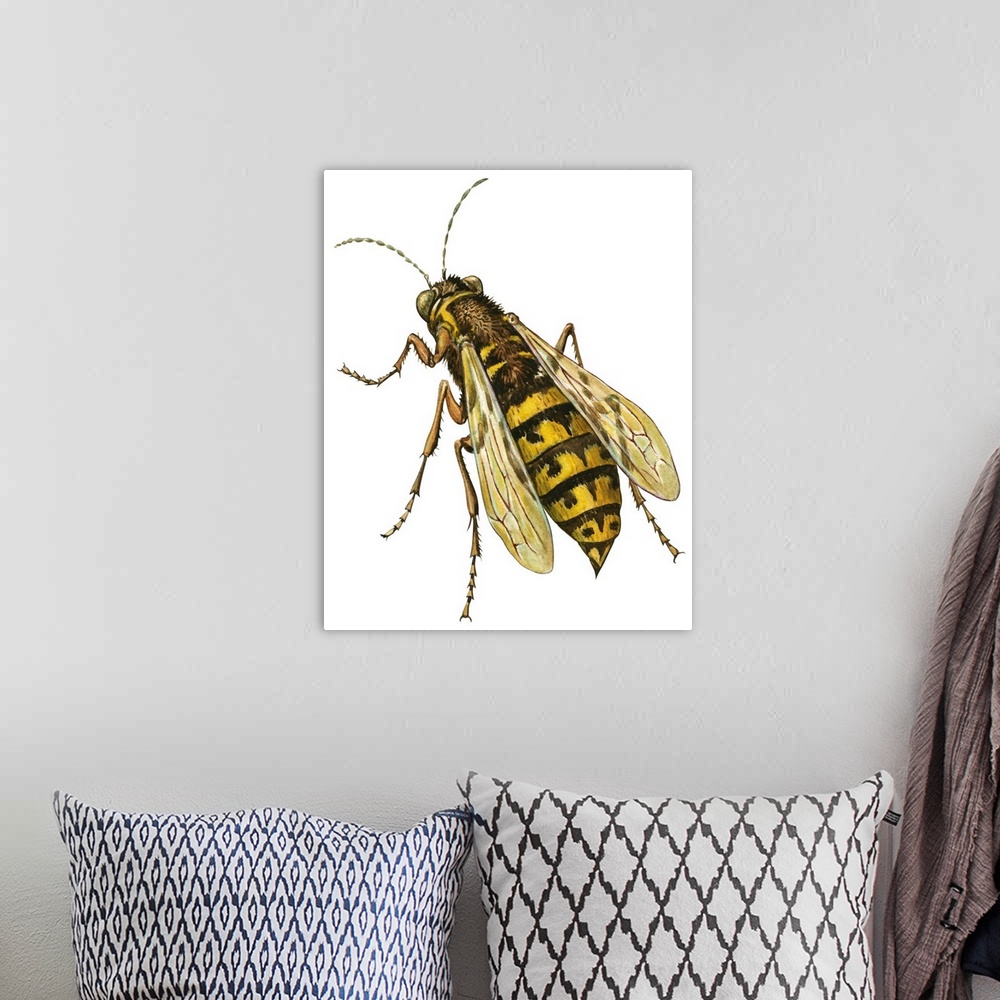 A bohemian room featuring Yellow Jacket (Vespidae), Wasp