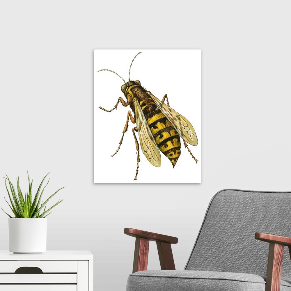 A modern room featuring Yellow Jacket (Vespidae), Wasp