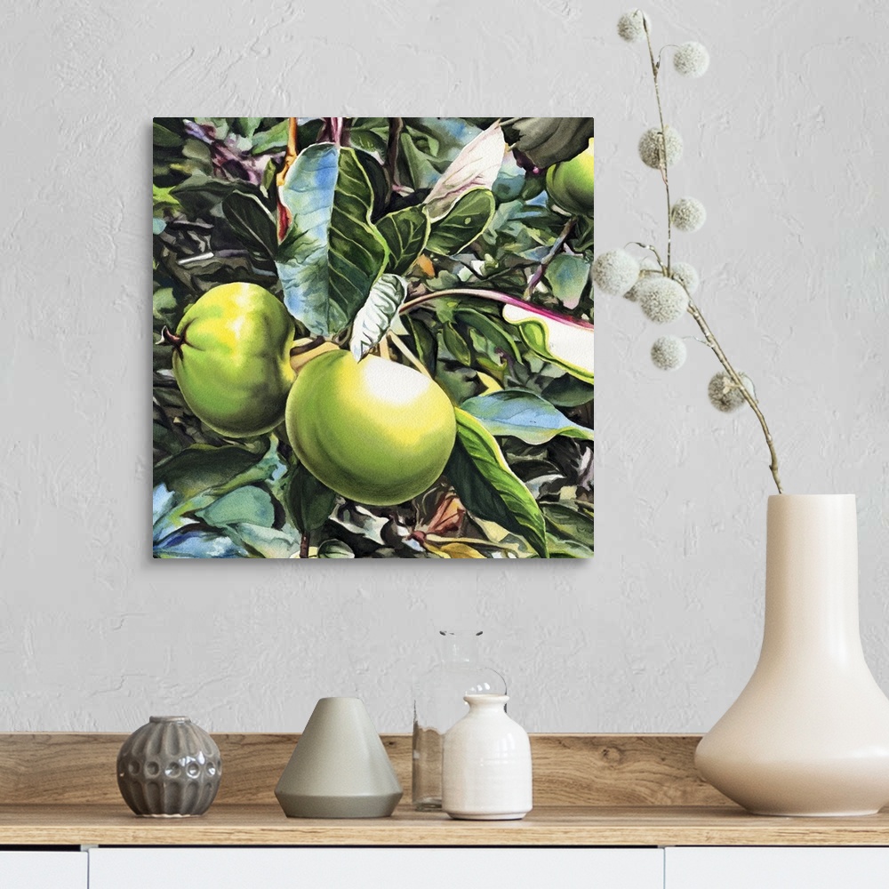 A farmhouse room featuring Square painting of small green apples growing on a tree in watercolor.
