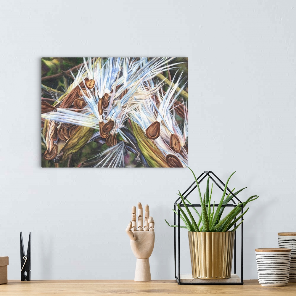 A bohemian room featuring A detailed watercolor painting of milkweed seeds that have escaped their pods and are preparing t...