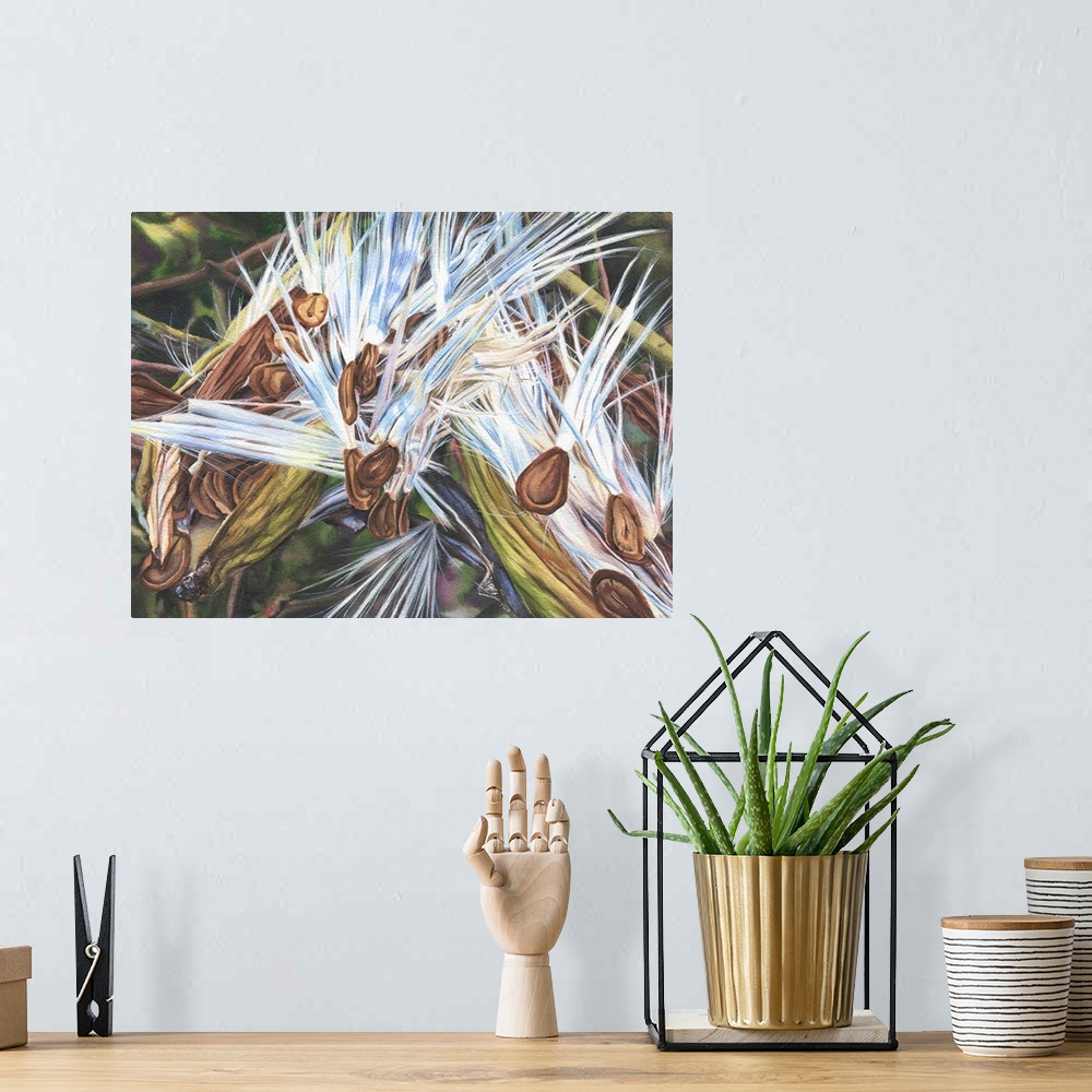 A bohemian room featuring A detailed watercolor painting of milkweed seeds that have escaped their pods and are preparing t...