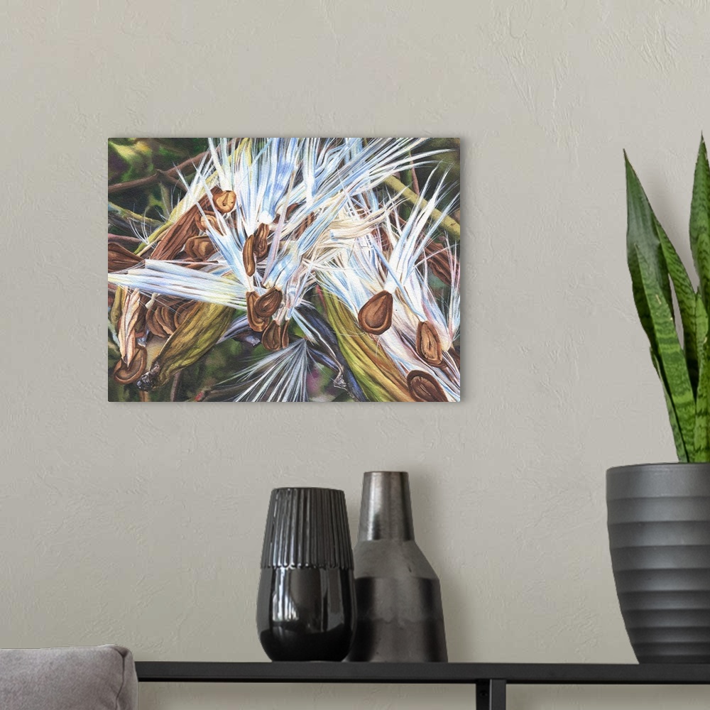A modern room featuring A detailed watercolor painting of milkweed seeds that have escaped their pods and are preparing t...