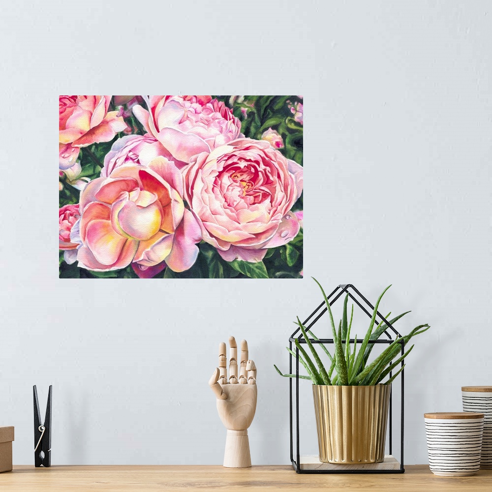 A bohemian room featuring Horizontal watercolor of pale pink roses on a rose bush.