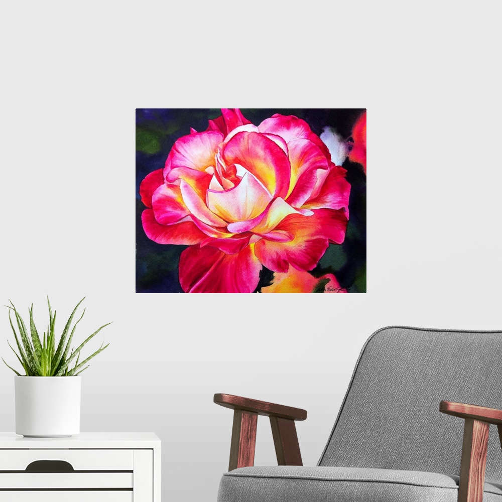 A modern room featuring Watercolor painting of a Rio Samba rose. The petals are a combination of cadmium yellow light, ca...