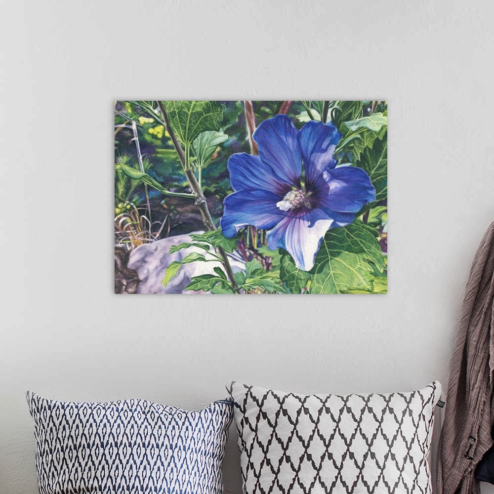 A bohemian room featuring This is a blue rose of sharon--the first bloom from a brand new plant. I like the range of colors...
