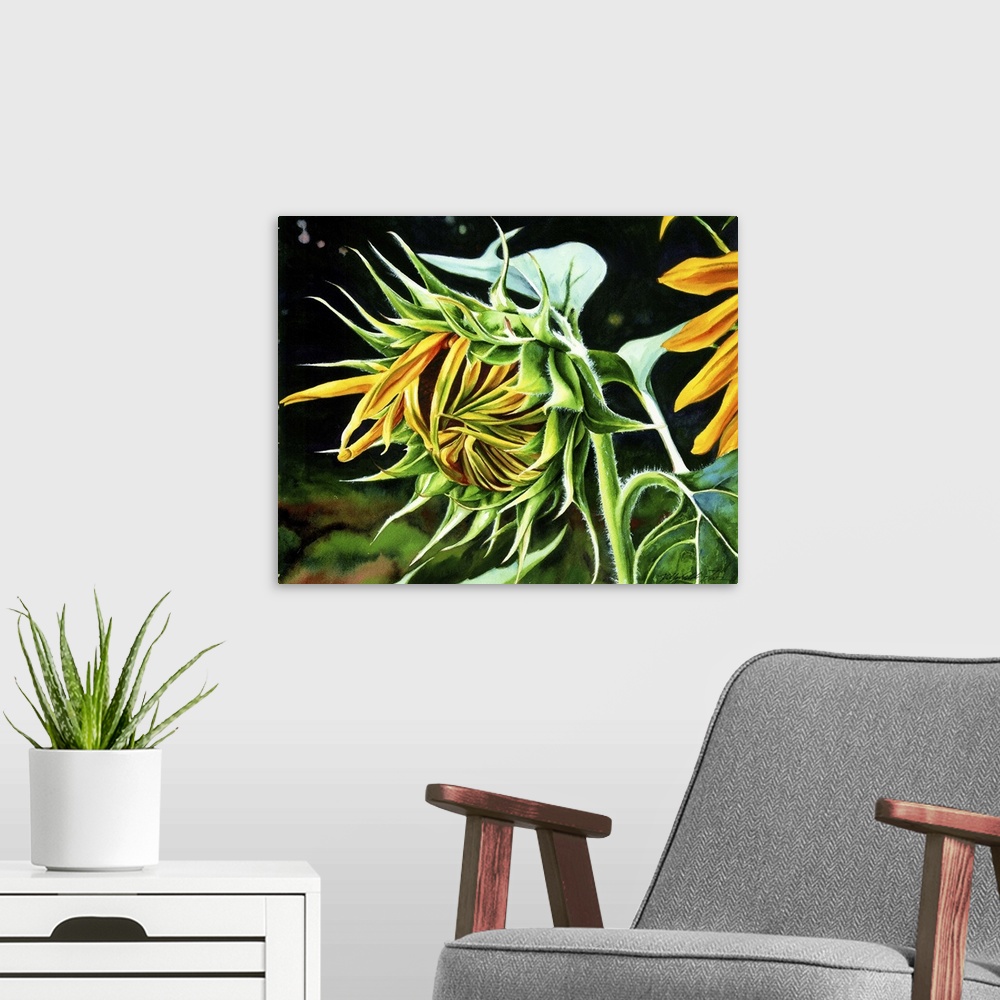 A modern room featuring A horizontal watercolor of a sunflower just starting to open up.