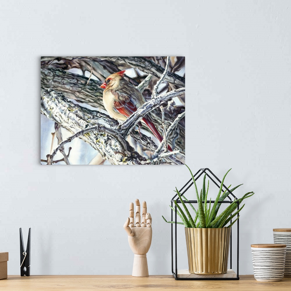 A bohemian room featuring Watercolor painting of a female cardinal in winter on a tree.