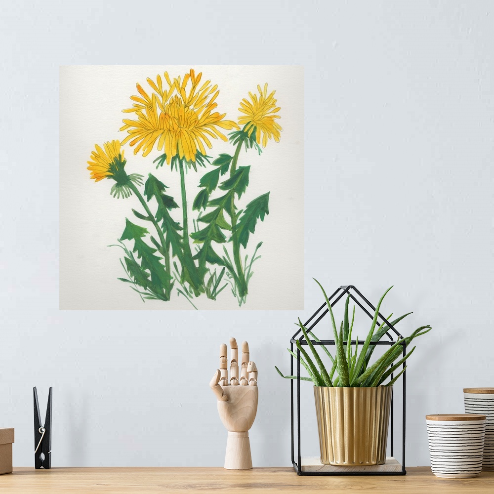 A bohemian room featuring Dandelions