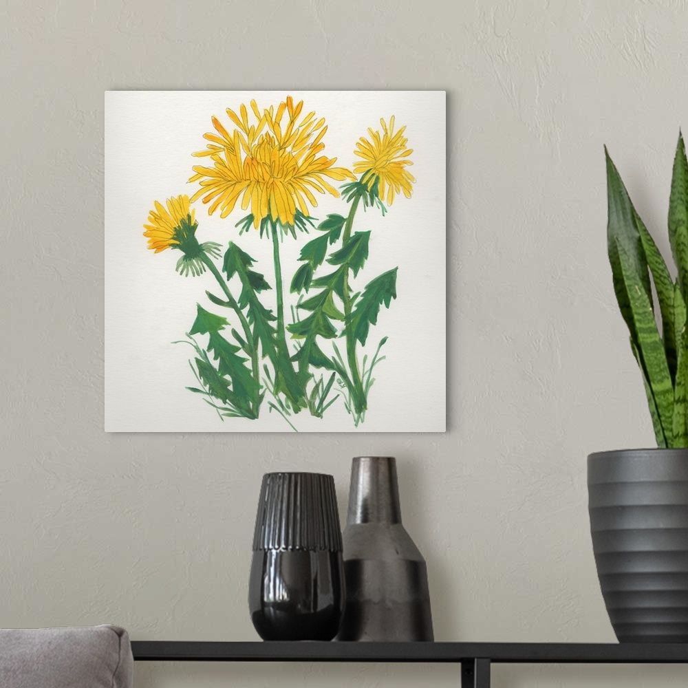 A modern room featuring Dandelions