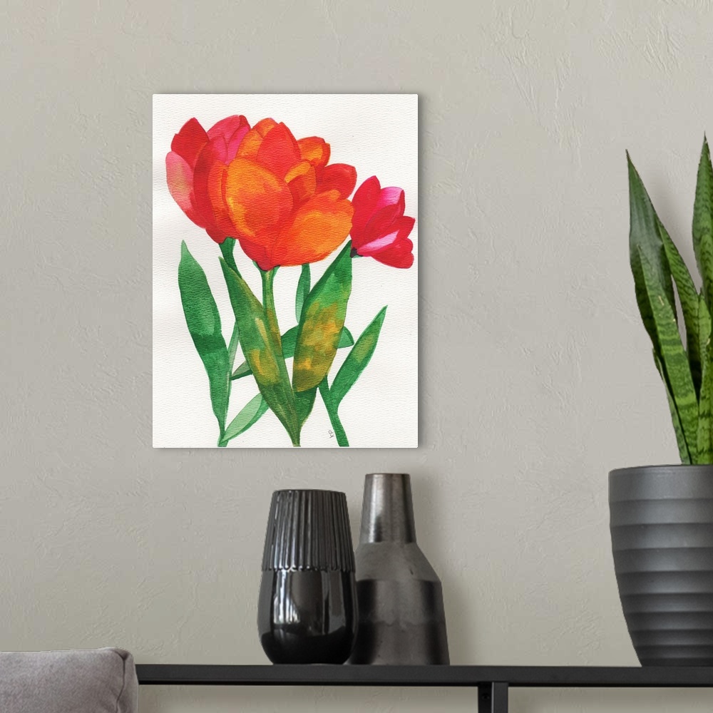 A modern room featuring Spring Tulip