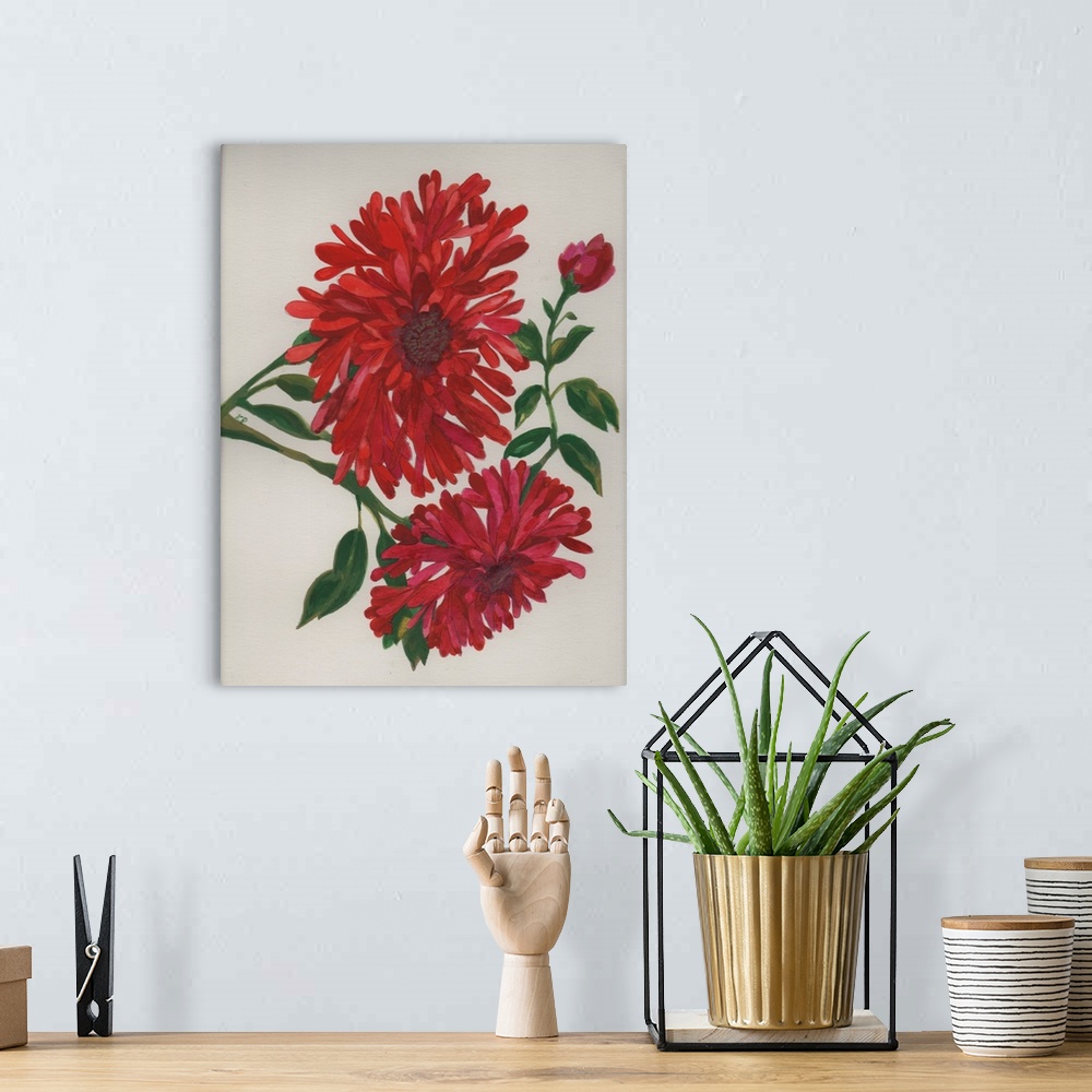 A bohemian room featuring Two Red Zinnias
