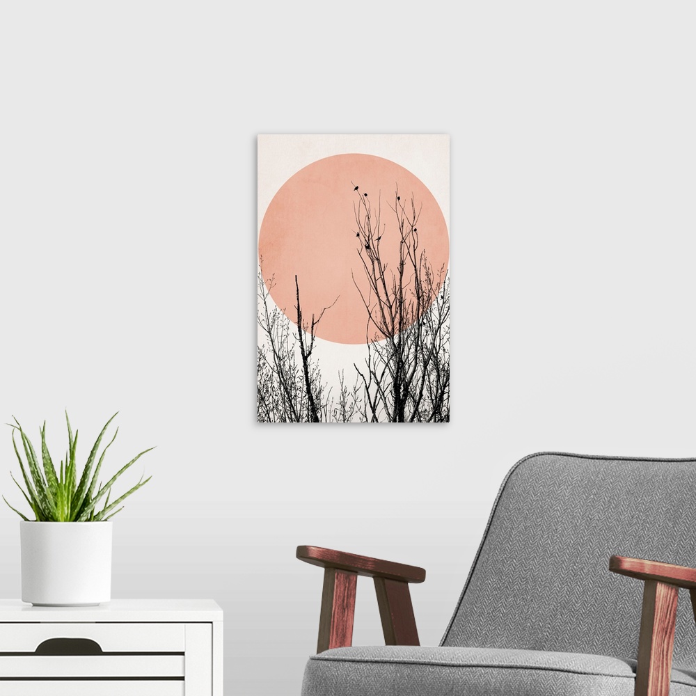 A modern room featuring Sunset Dreams - Rose