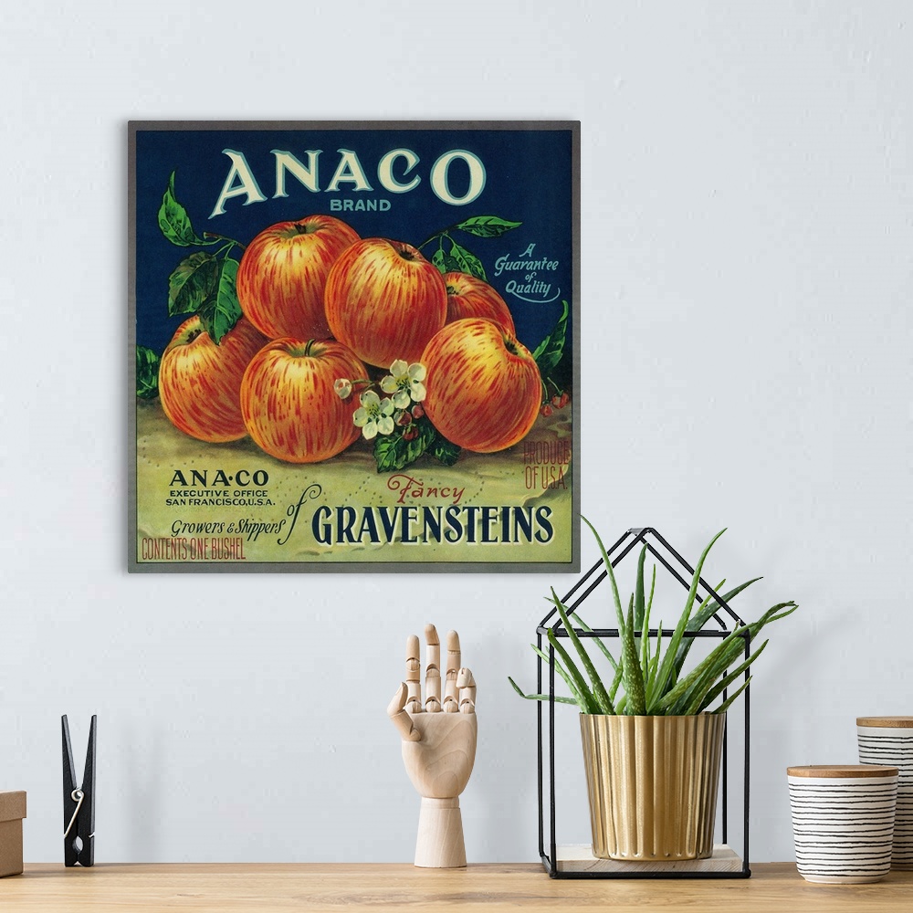 A bohemian room featuring Anaco Apple Crate Label, San Francisco, CA