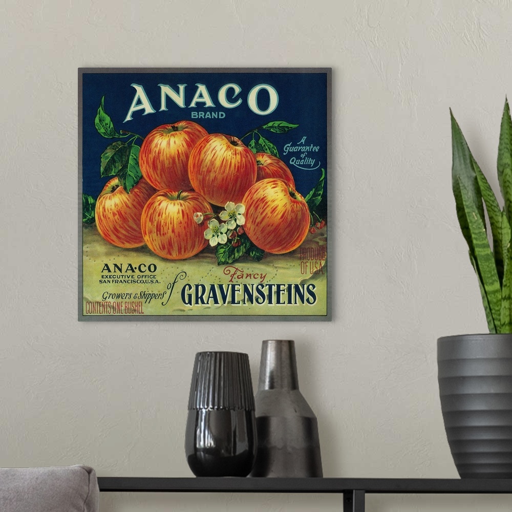 A modern room featuring Anaco Apple Crate Label, San Francisco, CA