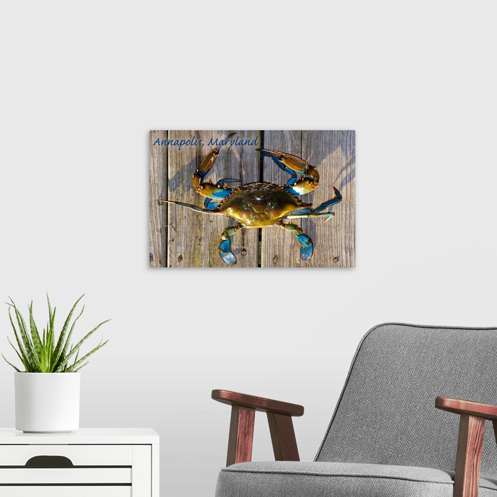 A modern room featuring Annapolis, Maryland, Blue Crab on Dock
