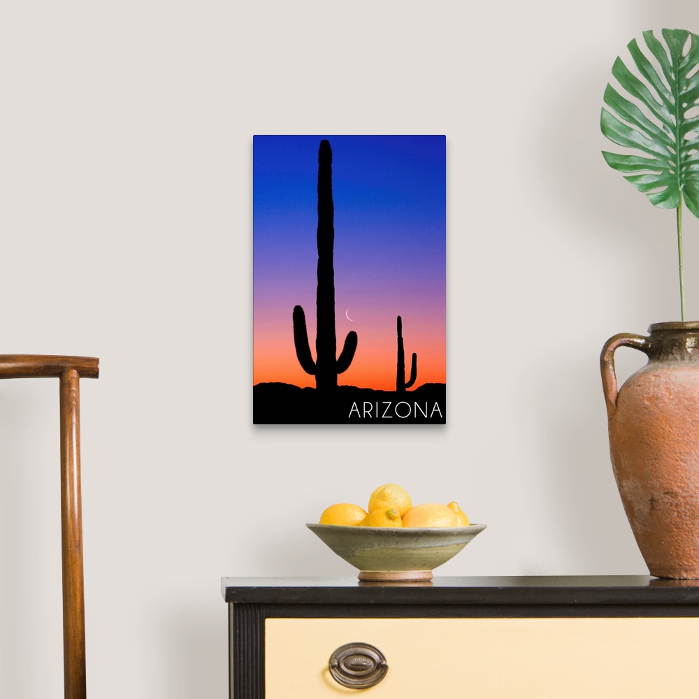 A traditional room featuring Arizona, Cactus and Moon