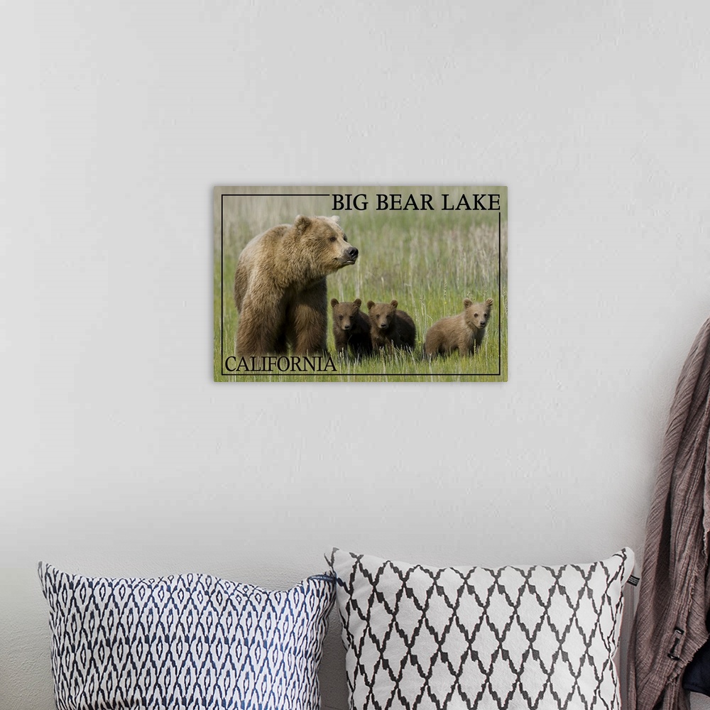A bohemian room featuring Big Bear Lake, California - Bear Family (James T. Jones Photography)