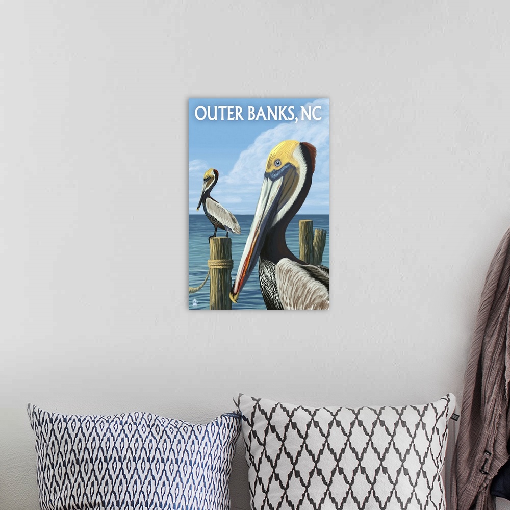 A bohemian room featuring Brown Pelicans, Outer Banks, North Carolina