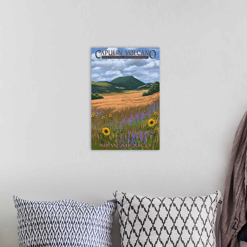 A bohemian room featuring Capulin Volcano National Monument, New Mexico: Retro Travel Poster