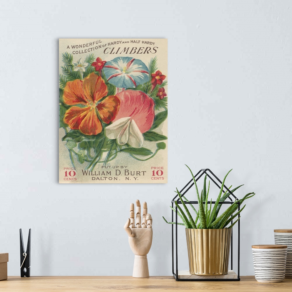 A bohemian room featuring A vintage label from a seed packet for climbing flowers.