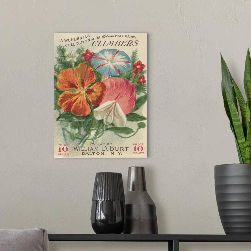 A modern room featuring A vintage label from a seed packet for climbing flowers.