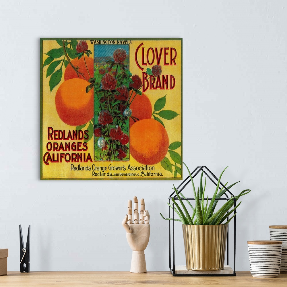 A bohemian room featuring Clover Orange Label, Redlands, CA