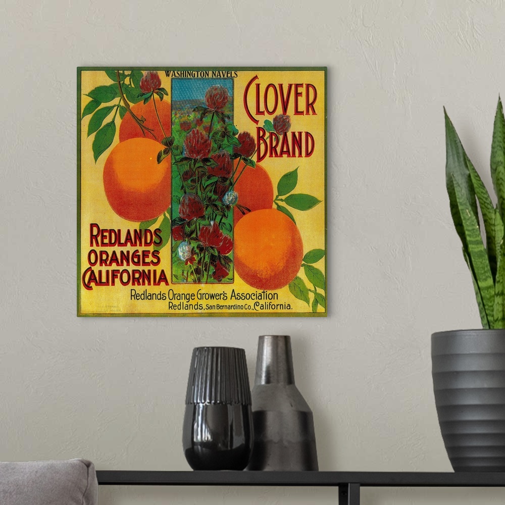 A modern room featuring Clover Orange Label, Redlands, CA