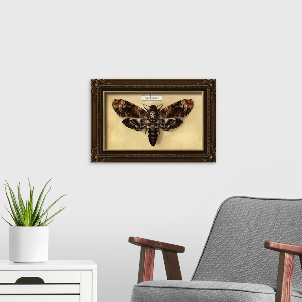 A modern room featuring Death's Head Moth: Retro Art Poster