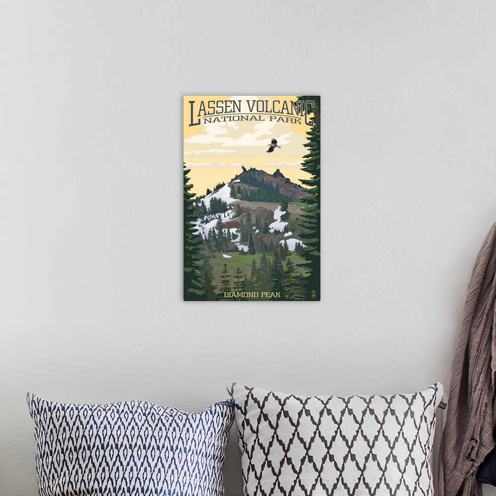 A bohemian room featuring Retro stylized art poster of a volcano peak. With trees below, and a bird in flight.