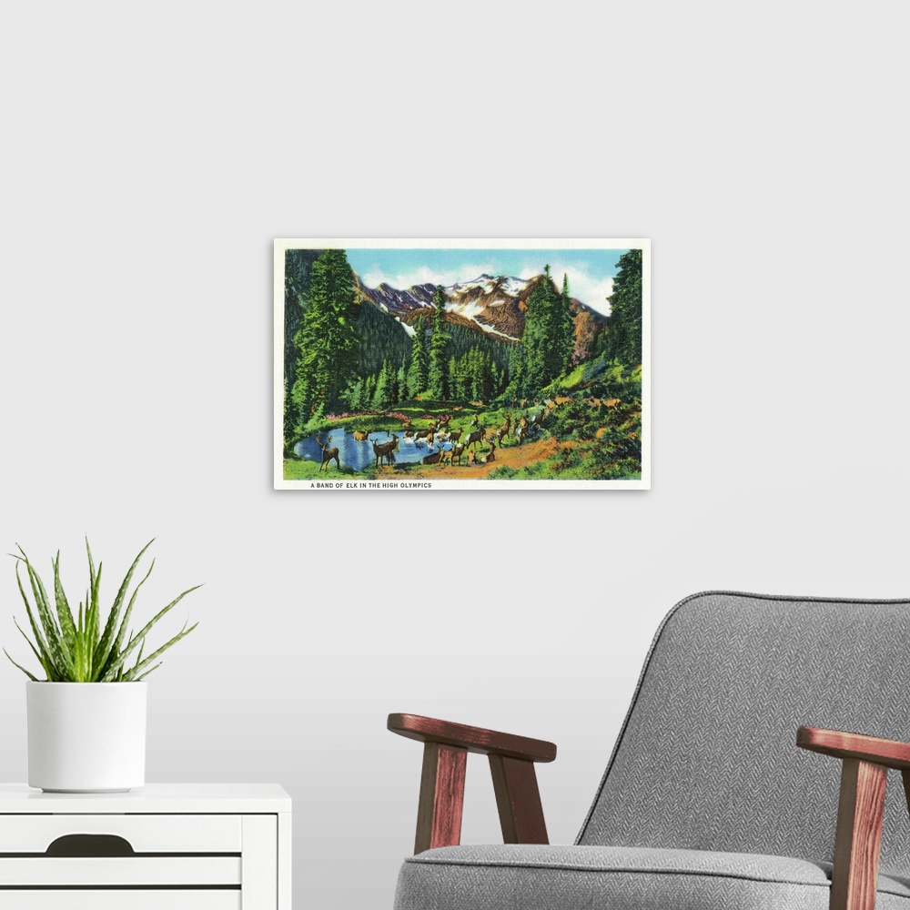 A modern room featuring Elk in the High Olympics, Olympic National Park