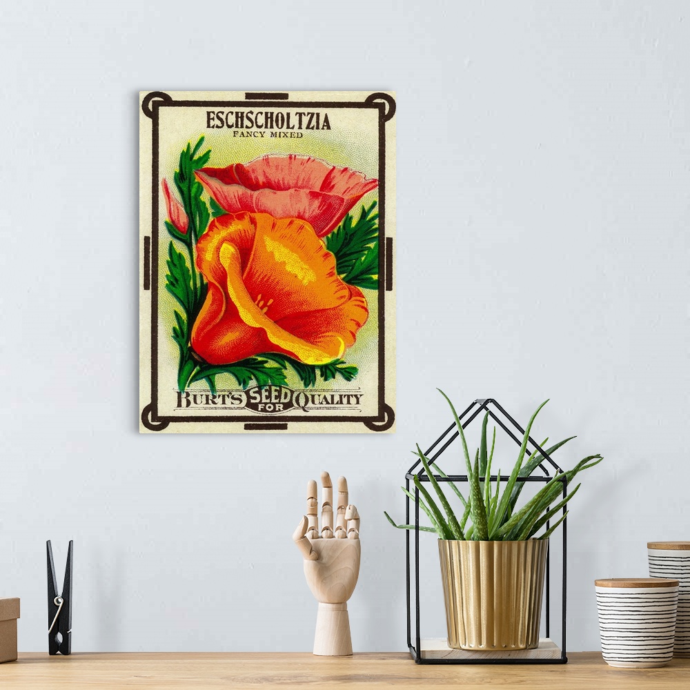 A bohemian room featuring A vintage label from a seed packet for California Poppies.