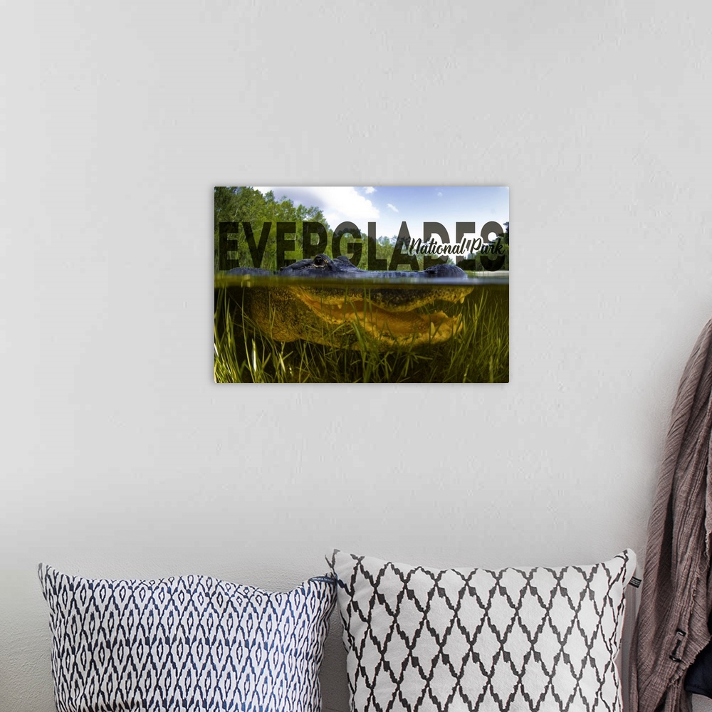 A bohemian room featuring Everglades National Park, Crocodile Portrait: Travel Poster